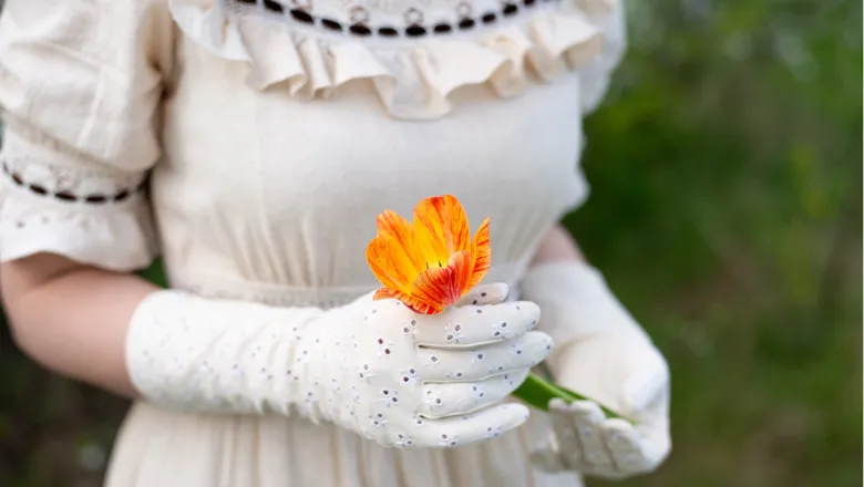 Fragment of retro beige cotton dress with puffed sleeve and ruffles, white gloves decorated with Broderie anglaise pattern. The person holds Rembrandt yellow and red tulip flower.