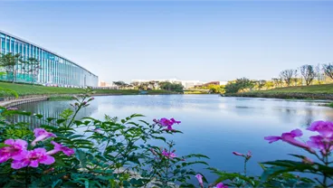 SUSTech - King's School of Medicine (SKMed)