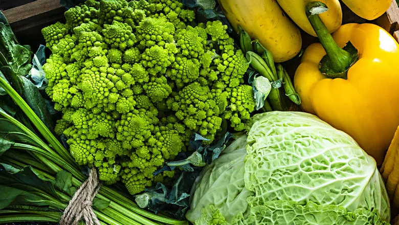folsm-nutritional-sciences